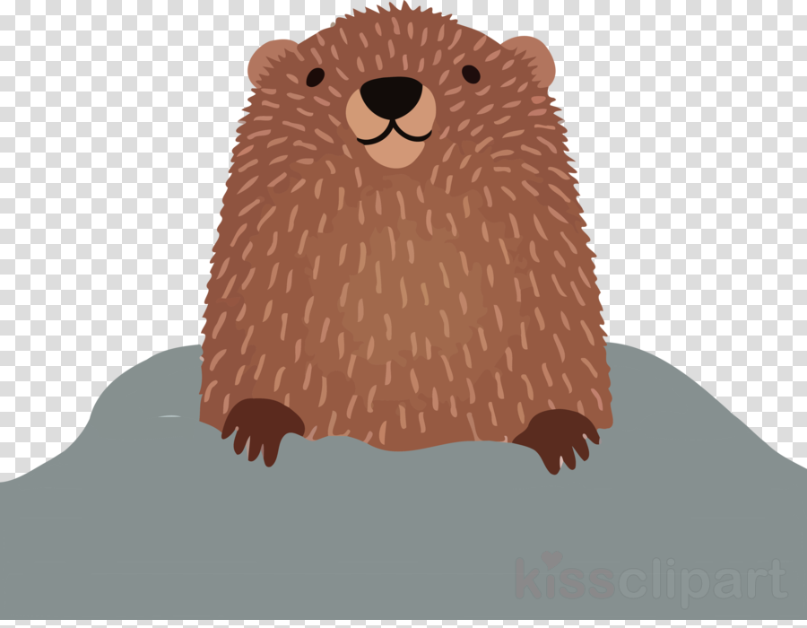 groundhog day happy groundhog day groundhog clipart.