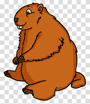 Groundhog transparent background PNG cliparts free download.