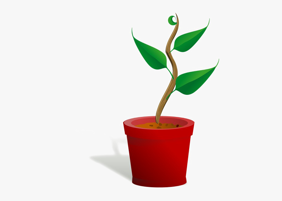 Growing Plant Download Free Clipart Hd.