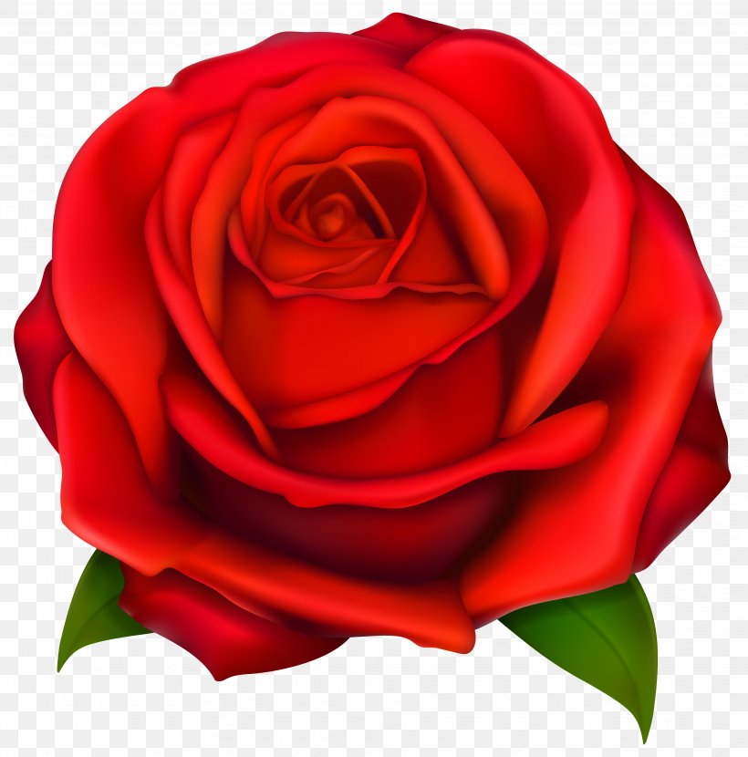 Rose Clip Art, PNG, 4084x4136px, Yoworld, Blog, China Rose.