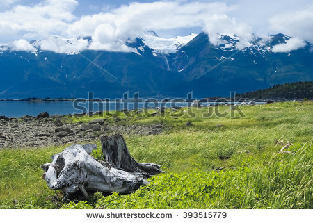 Hain Stock Photos, Royalty.