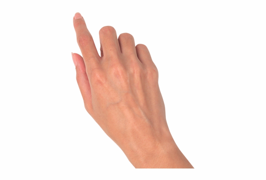 Hand Png.