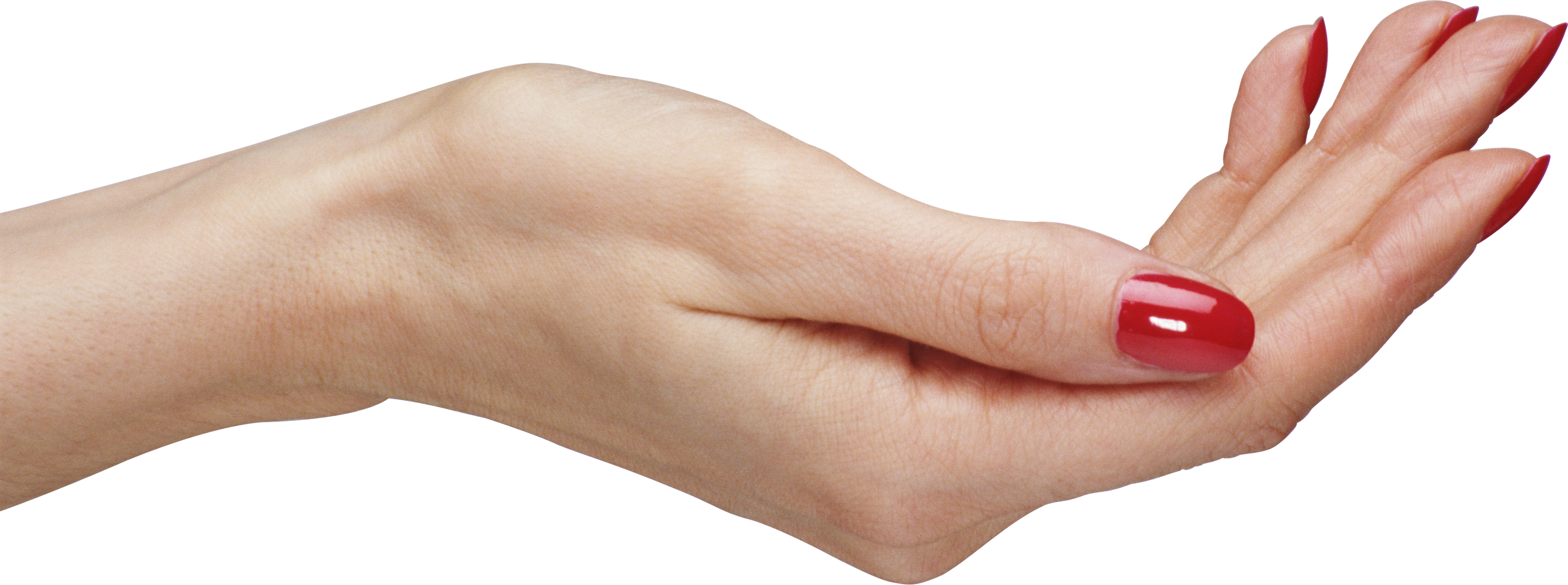 Hands PNG free images, pictures download, hand.