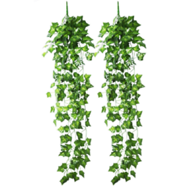 Hanging vines png AbeonCliparts.