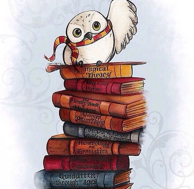 Hedwig! shared by Mrs. Weasley on We Heart It.