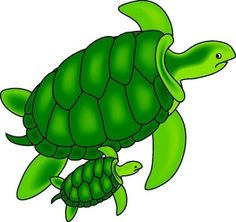 Hawksbill turtle clipart.