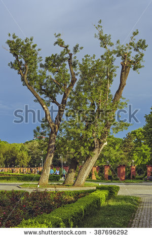 Herastrau Stock Photos, Royalty.