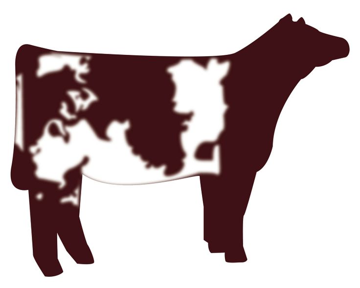 Similiar Hereford Cow Clip Art Keywords.