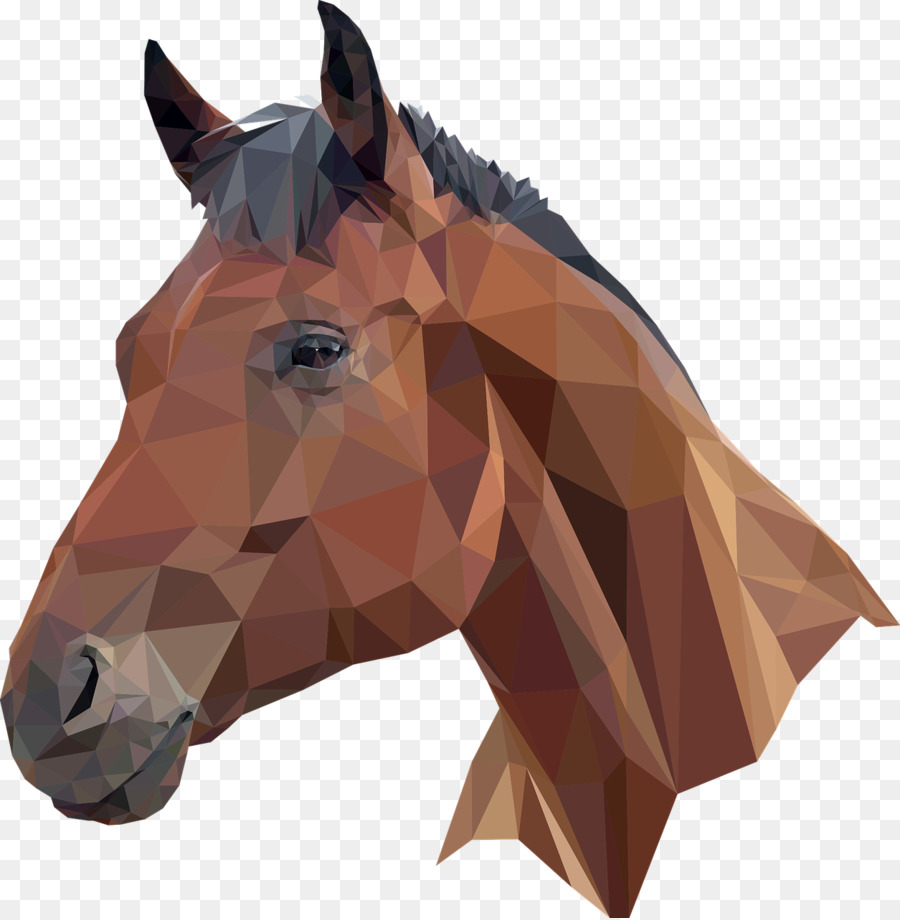 Horse Cartoon png download.