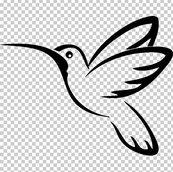 Hummingbird Drawing PNG, Clipart, Animals, Art, Artwork.