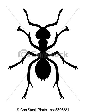 Hymenoptera Vector Clipart Illustrations. 45 Hymenoptera clip art.