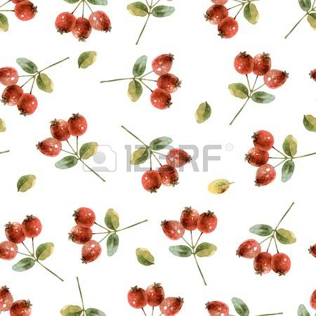 280 Immature Stock Vector Illustration And Royalty Free Immature.