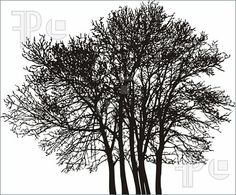 Tree Clip Art Black and White.