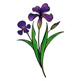 Iris Flower Clip Art Free.