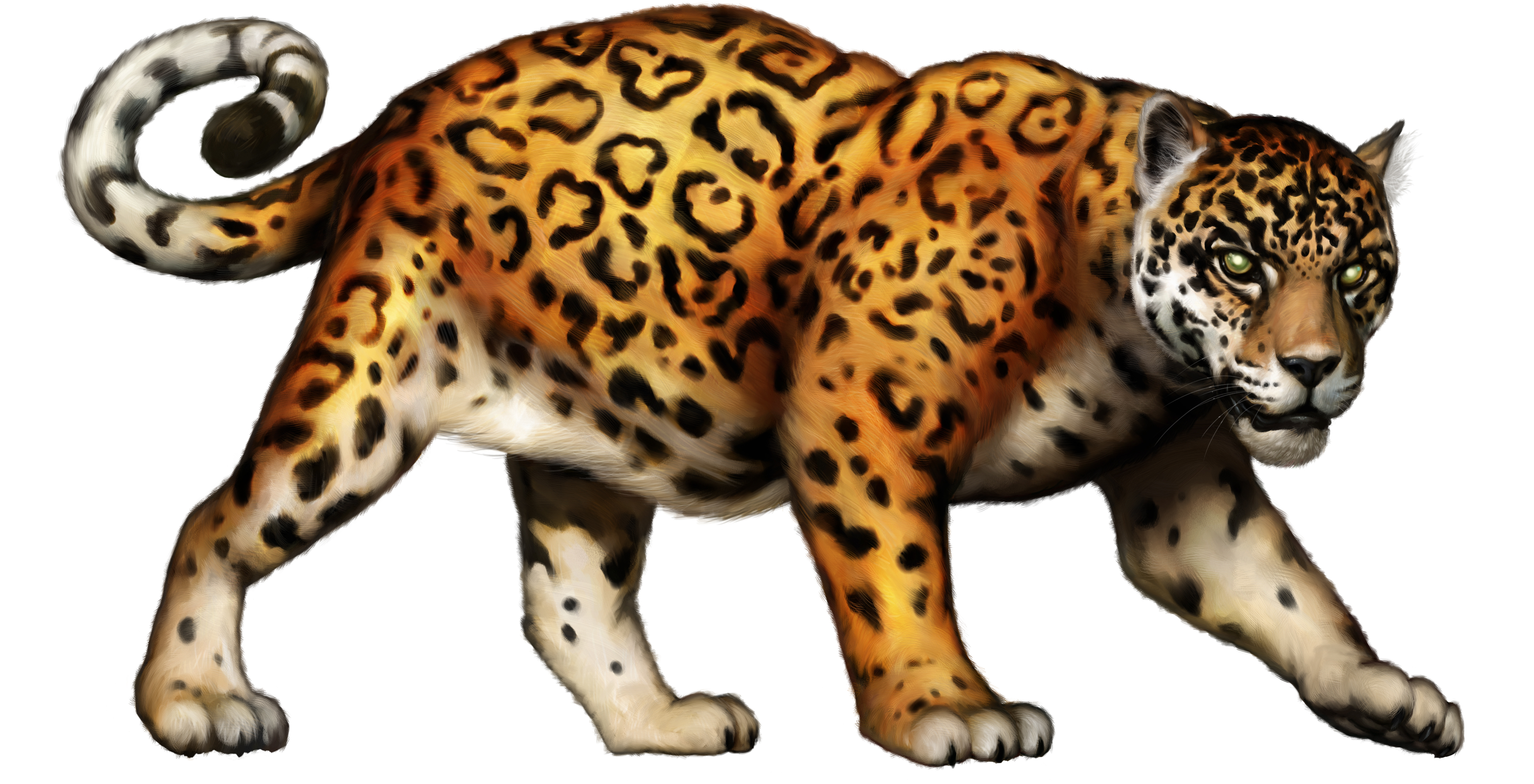 Jaguar Clipart.