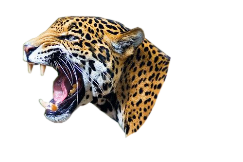 Download Free png Jaguar PNG, Download PNG image with transparent.