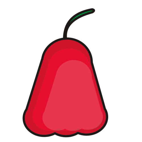 Starfruit Clipart.