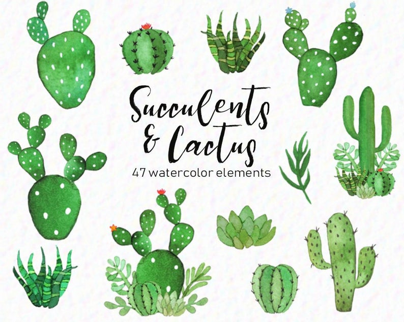 Download Free png Watercolor cactus cactus clipart.