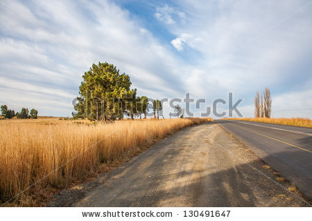 Portfolio von Rudi Venter auf Shutterstock.