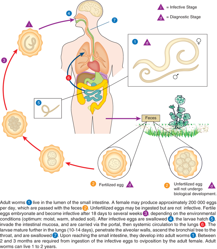 Pathogenic Parasites.