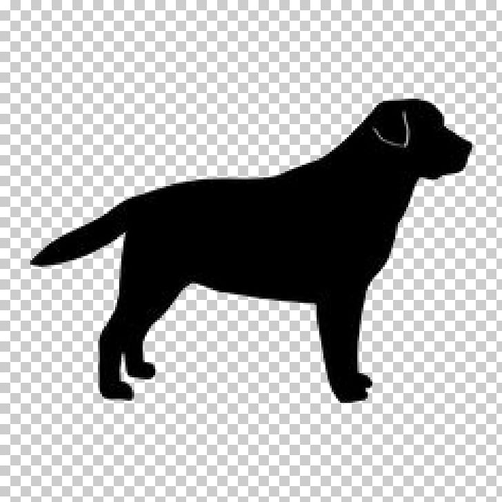 Labrador Retriever Golden Retriever Dog breed Silhouette.