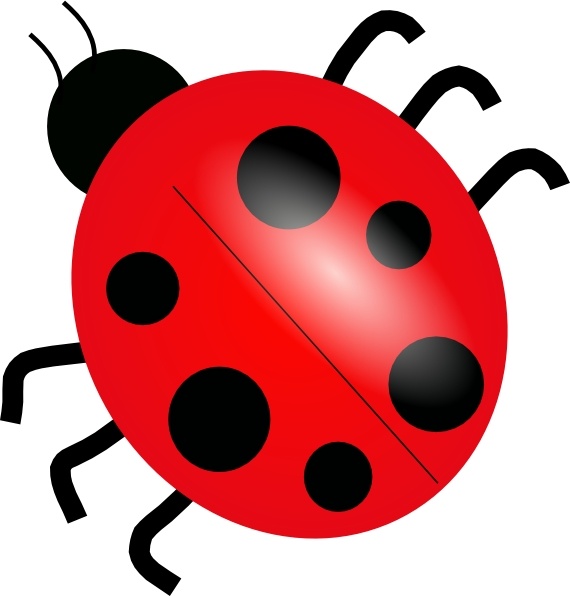 Ladybird vector free vector download (19 Free vector) for.