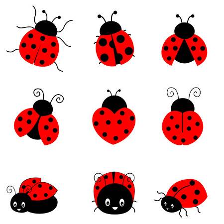 Free ladybug clipart » Clipart Station.