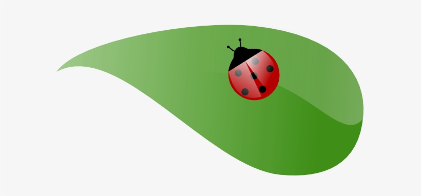 Ladybug Clipart Leaf Clip Art.