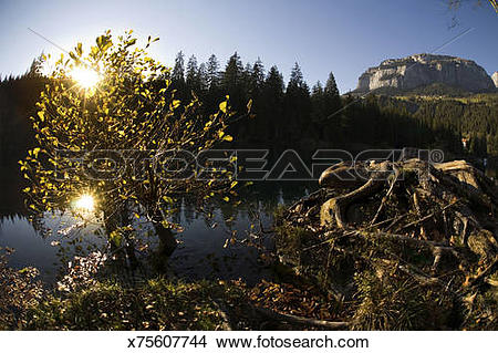 Stock Photo of Late afternoon light on Lake Cresta (Lag la Cresta.