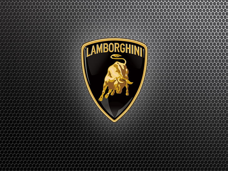 HD wallpaper: car Grill Lamborghini Grill Logo Cars.