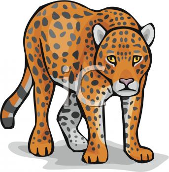 Leopard Clipart Pictures.