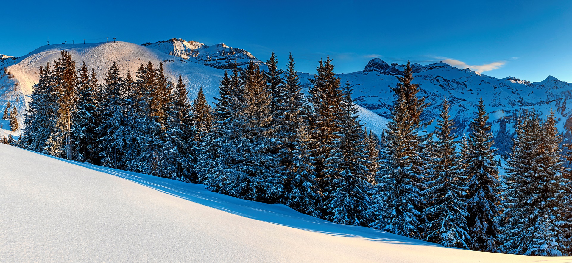 Home, Adelboden.