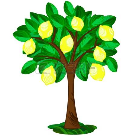 2,062 Lemon Tree Stock Illustrations, Cliparts And Royalty Free.