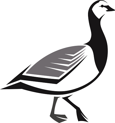 Branta Leucopsis Clip Art, Vector Images & Illustrations.