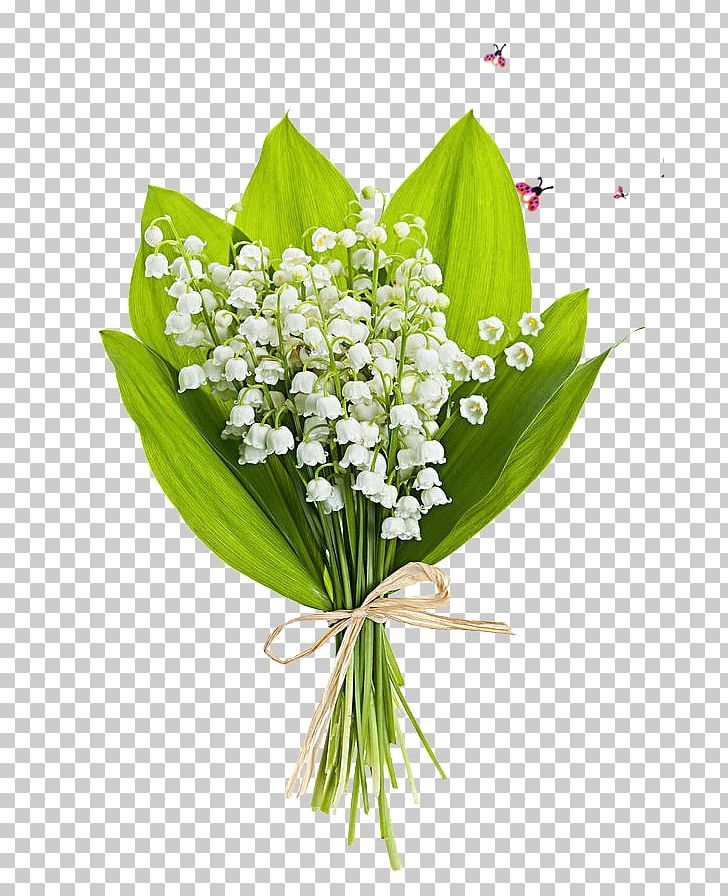 Lily Of The Valley Flower Bouquet Stock Photography Perfume.