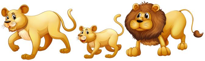 Lion Clip Art Free Vector Art.