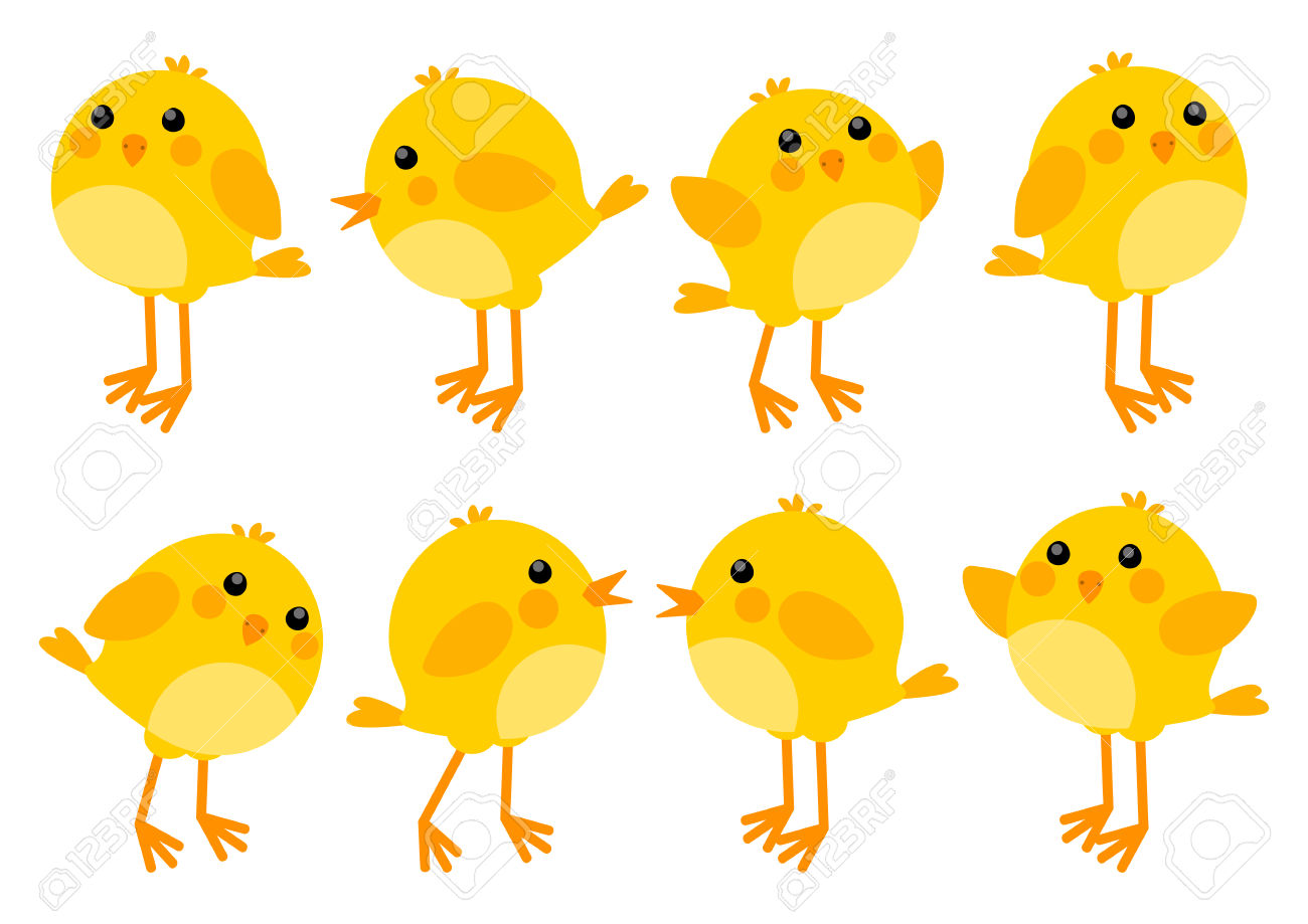 4,762 Baby Chick Stock Vector Illustration And Royalty Free Baby.