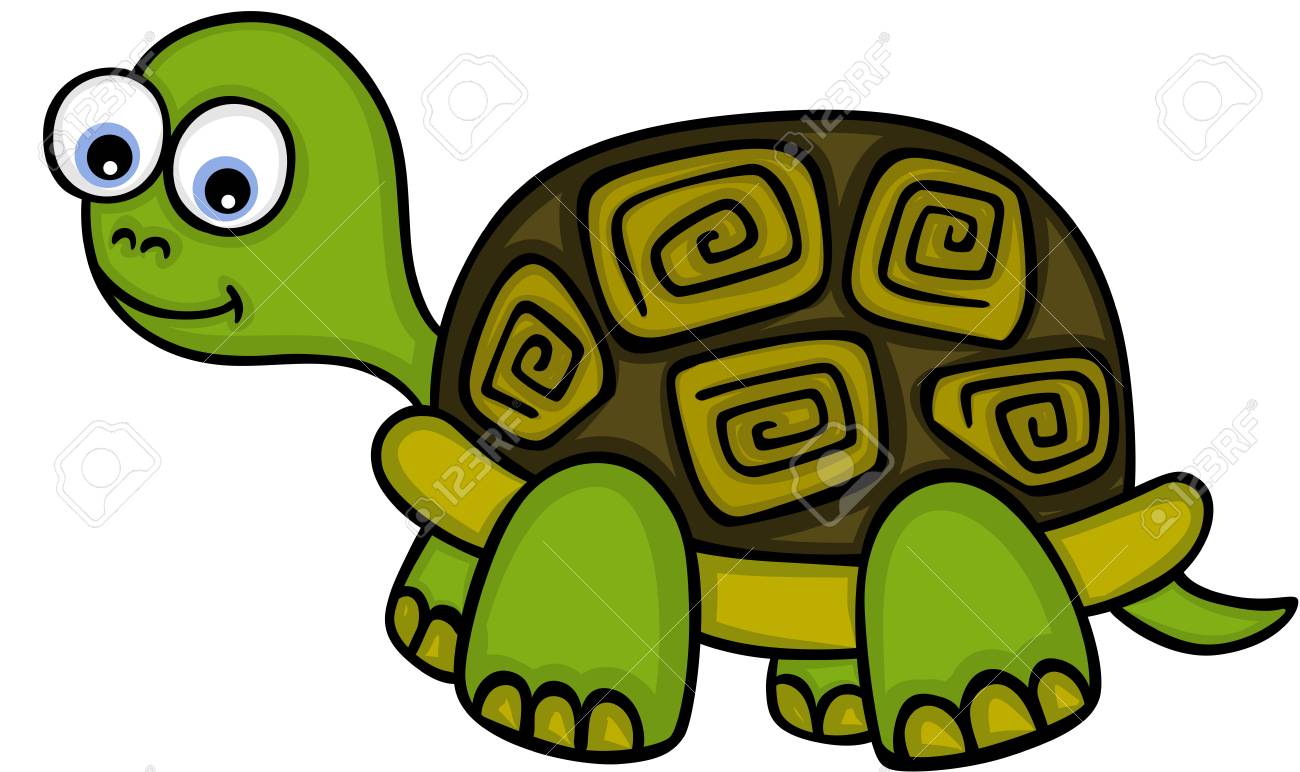 Cute little turtle Vector illustration..