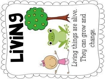 Living thing clipart.