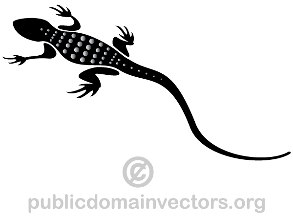 Lizard Silhouette Vector.