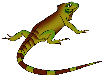 Lizard Clip Art & Lizard Clip Art Clip Art Images.