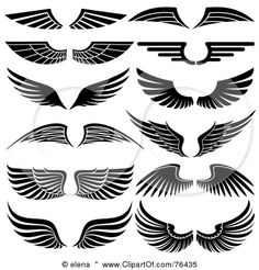 16 Best Wings Logo images.