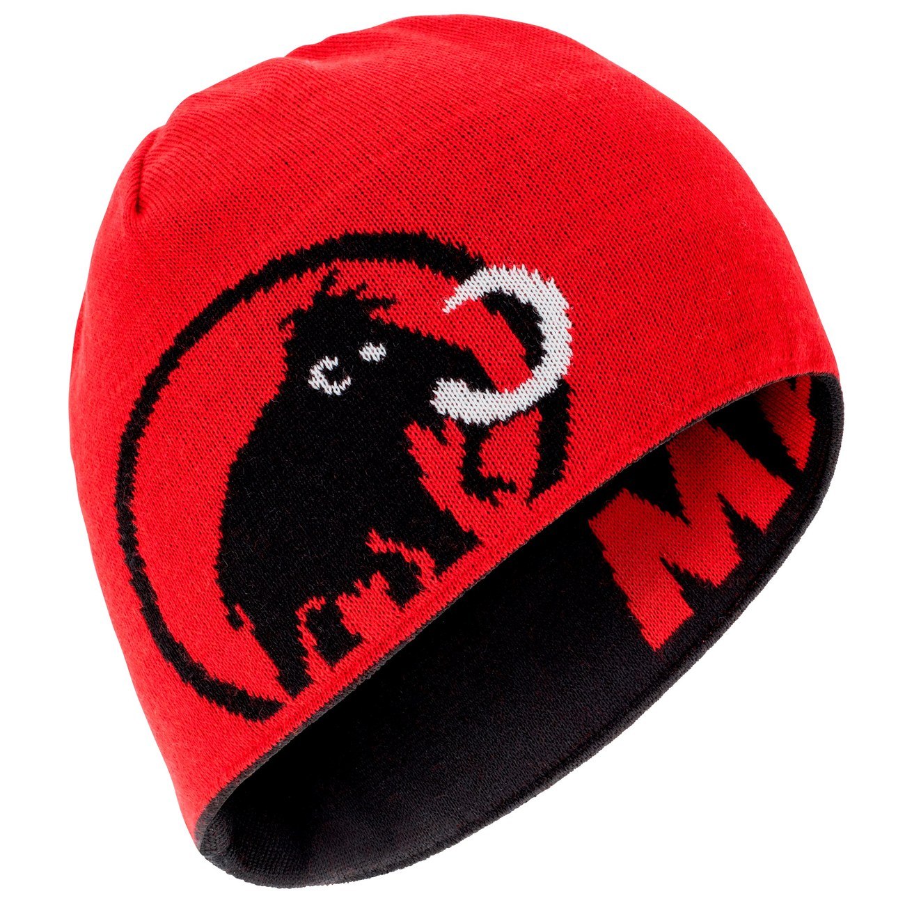 Mammut Logo Beanie 1090.