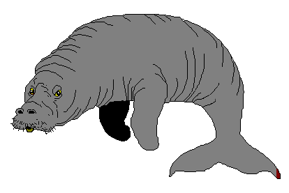 Manatee Clip Art.