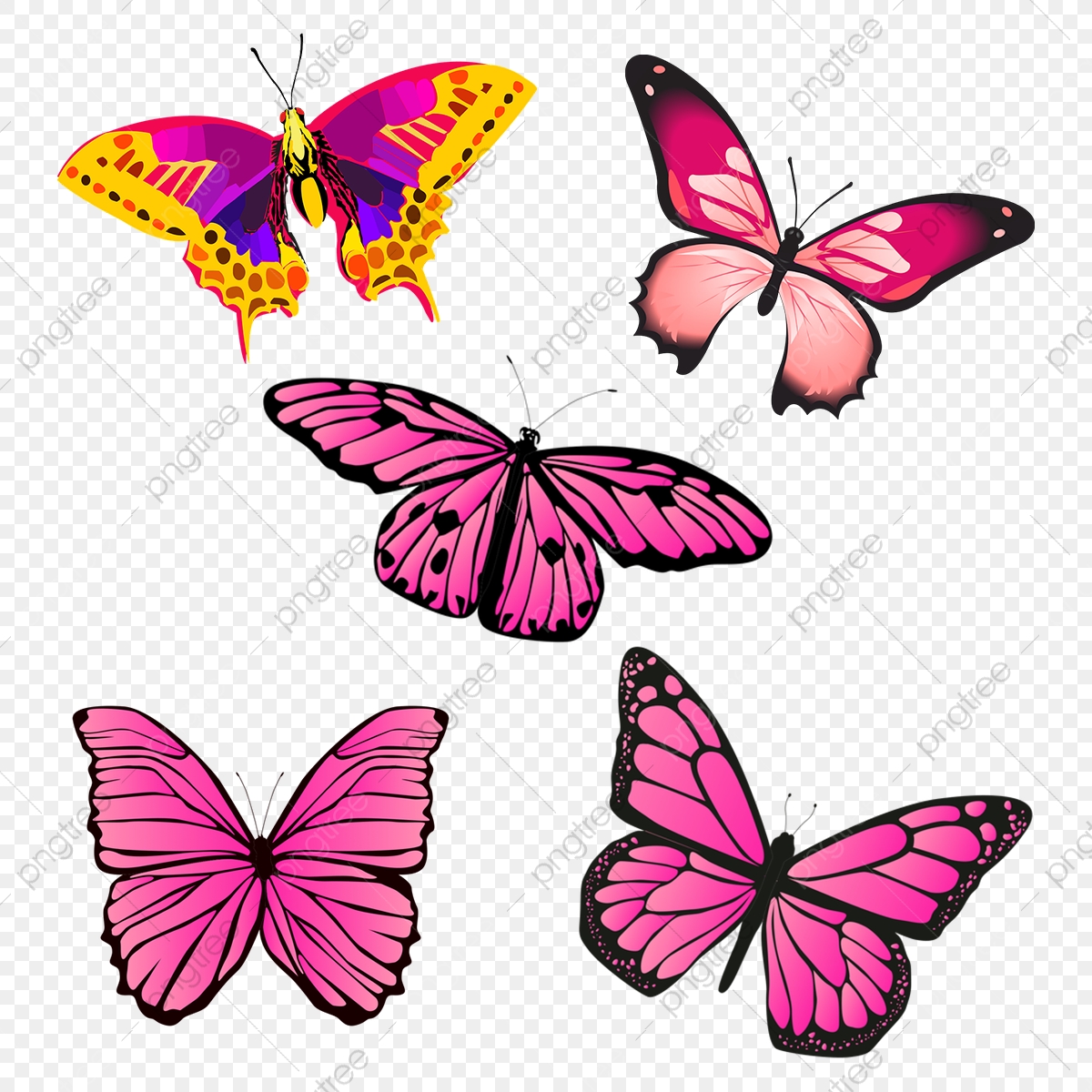 Mariposa Vector, Vector, Mariposa PNG Transparent Clipart.