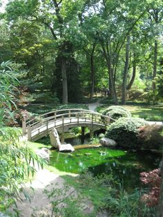 recall school trips to the Japanese Gardens at Maymount Park in.