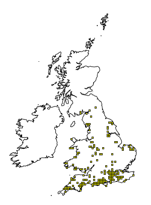 NBN Gateway.