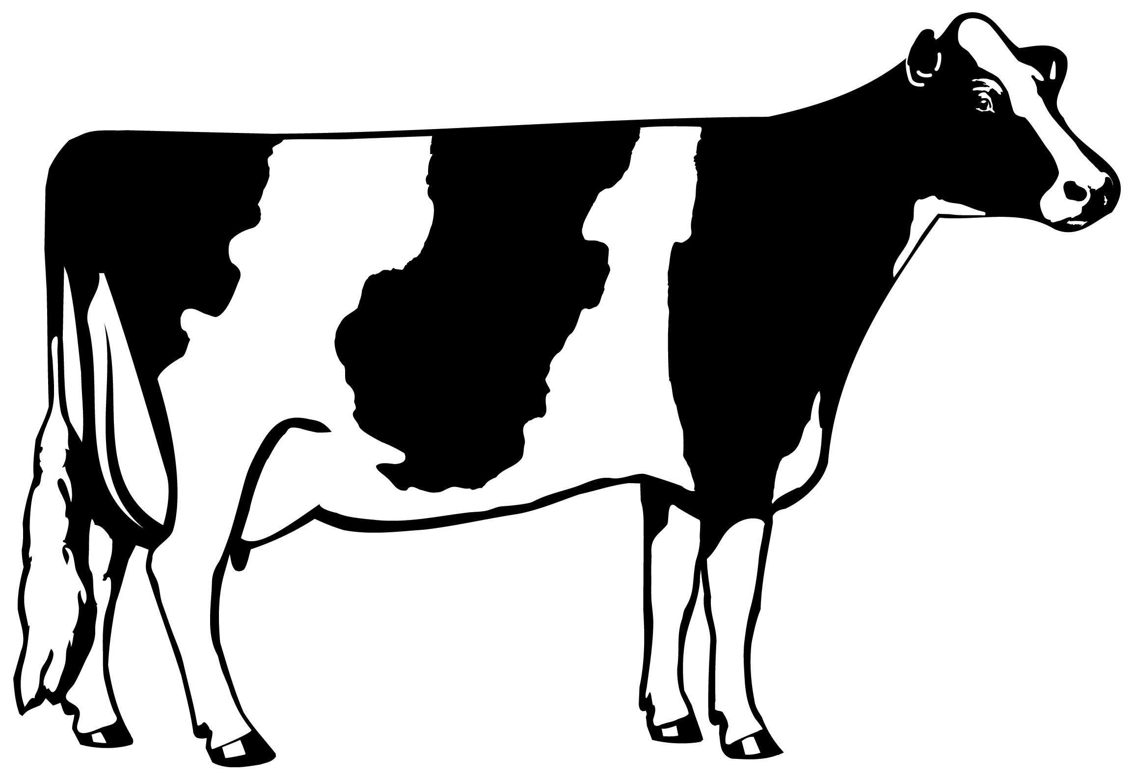 Cow Clipart (544) Free Clipart Images — Clipartwork.