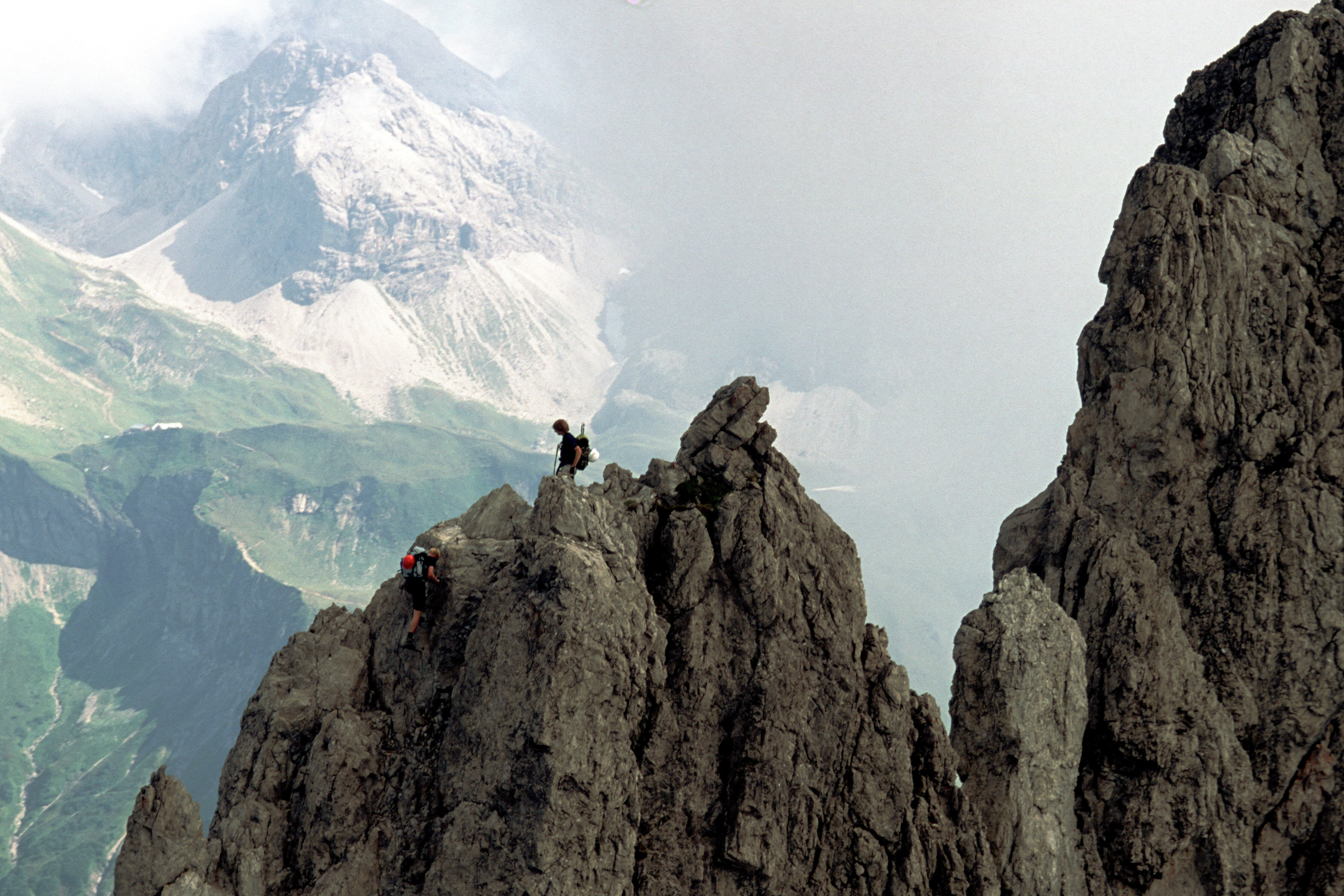 Via ferrate & climbing forests.