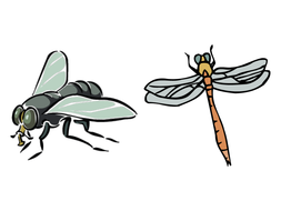 Minibeasts / Insects for EYFS / KS1: PowerPoint lessons, activities and  display pack.